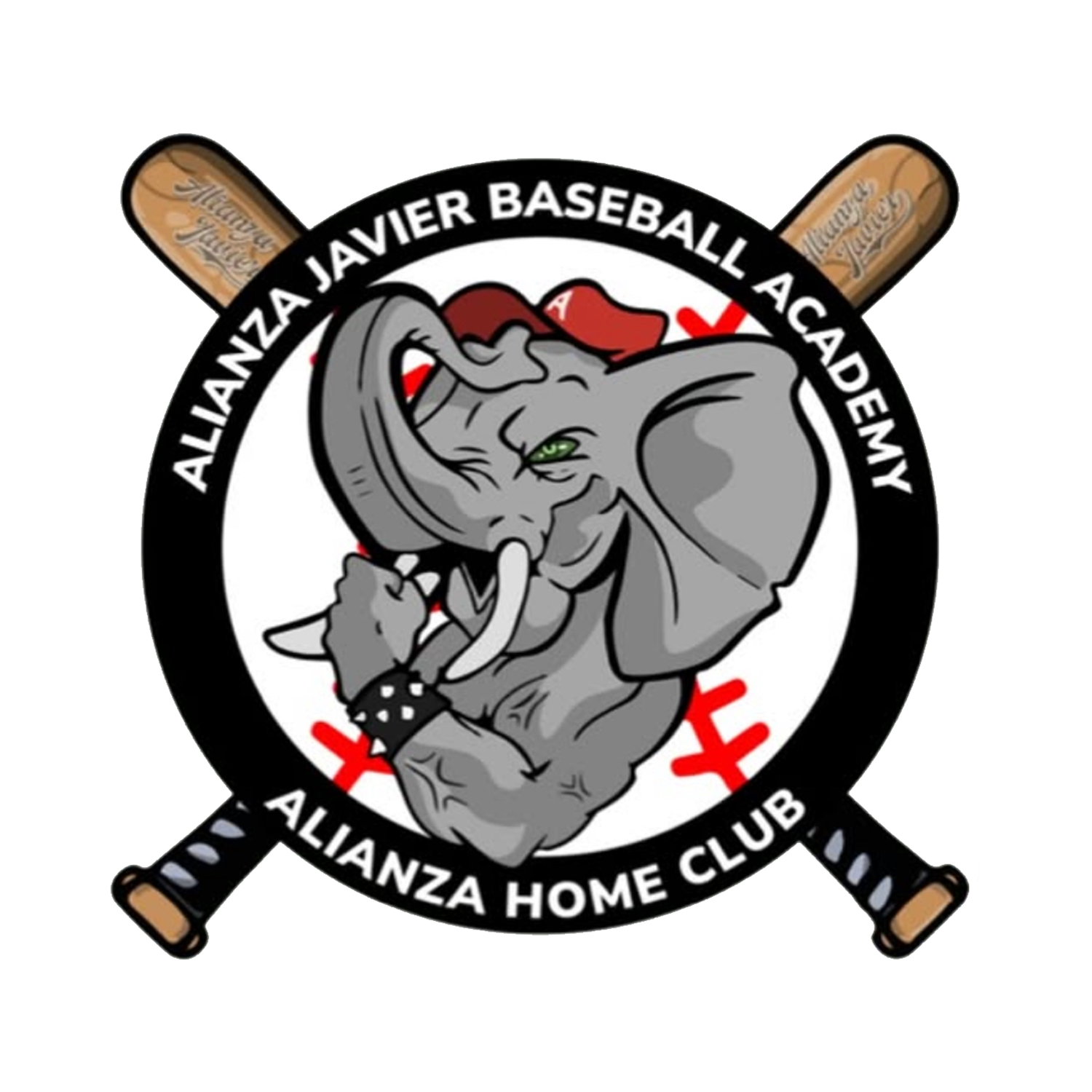 Alianza Javier Baseball Academy