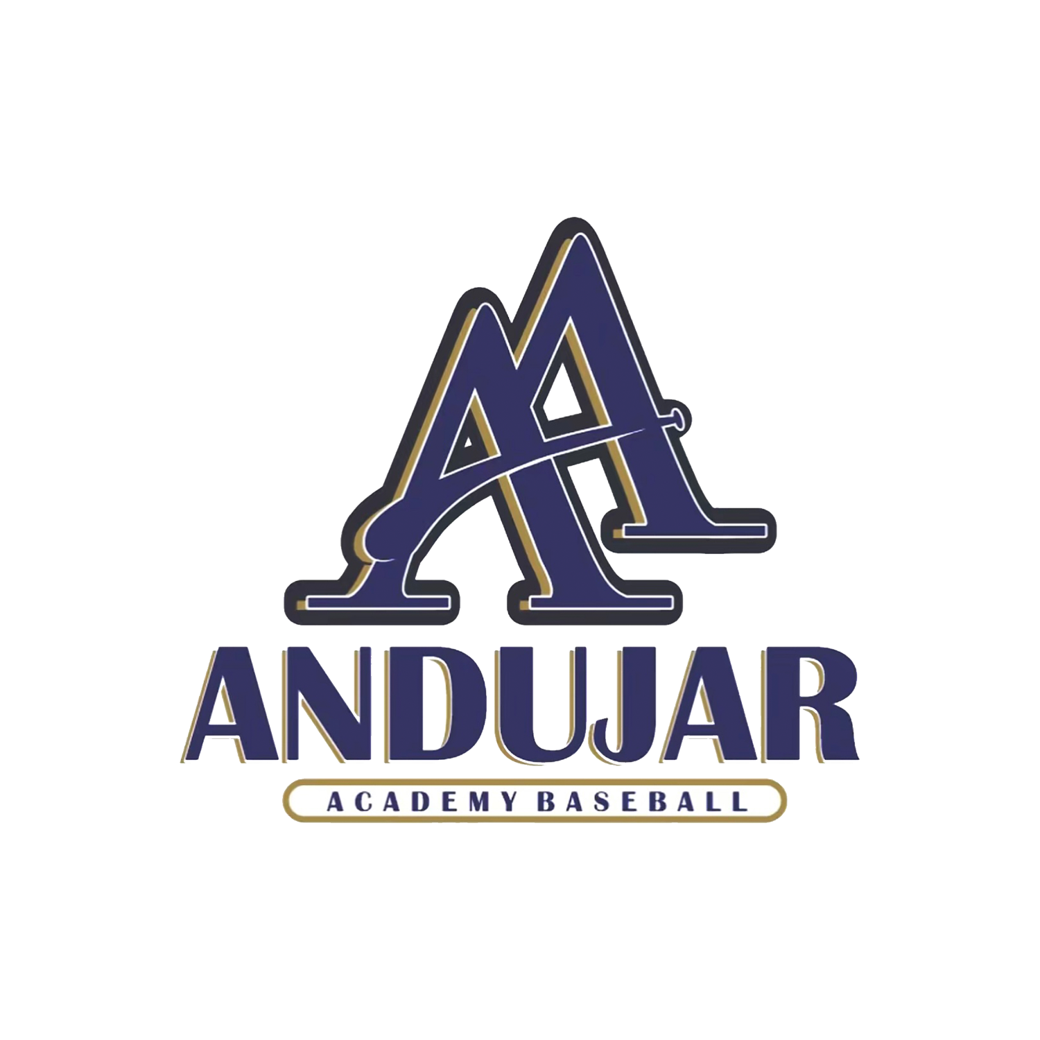Andujar Baseball Academy