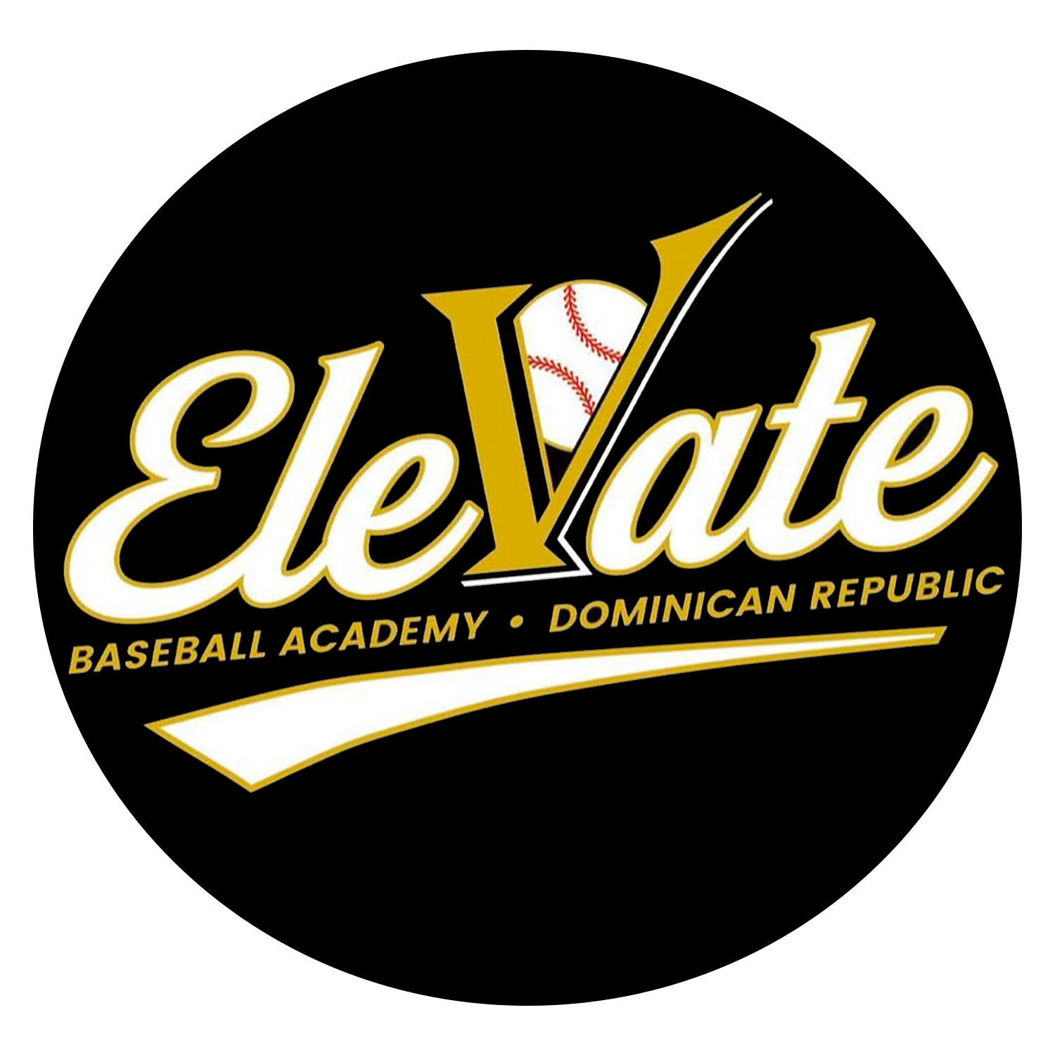 Elevate Baseball Academy