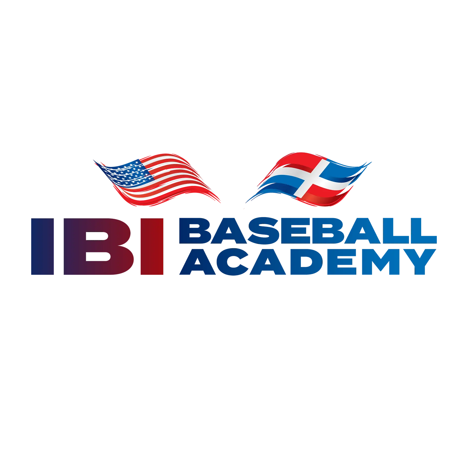 IBI Baseball Academy