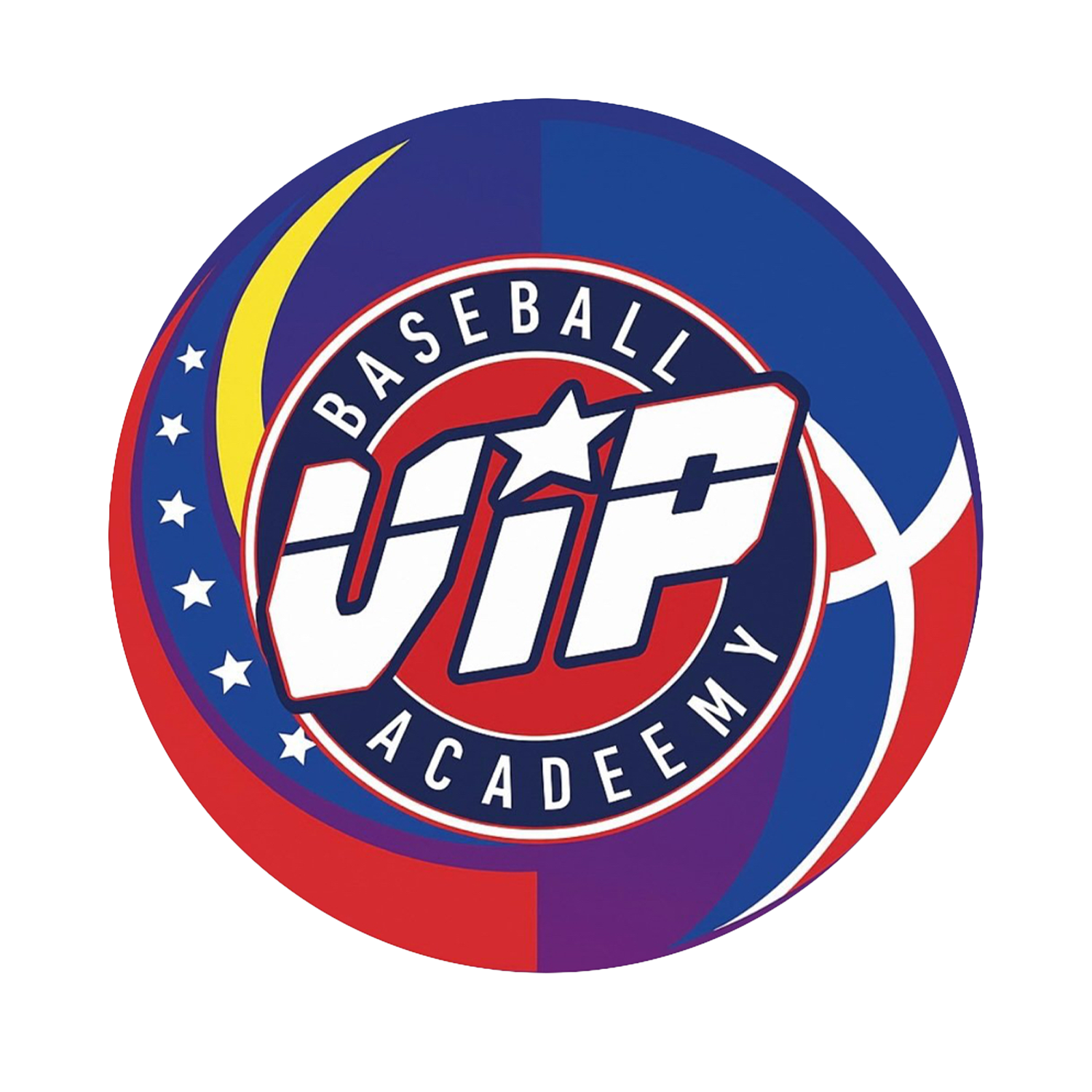 VIP Baseball Academy